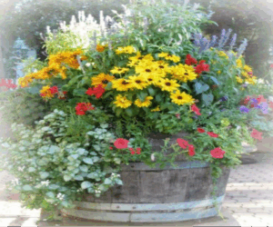 Patio possibilities project