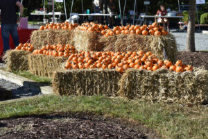 Hanover Autumnfest 3
