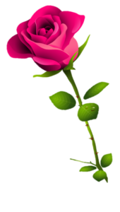 Pleasures Prove Special Sweethearts menu