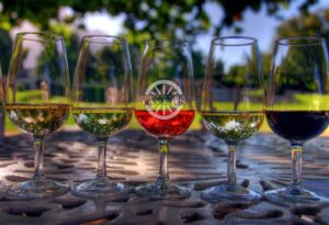 VA wine month sips & songs
